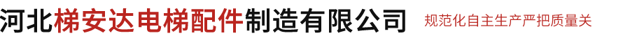 河北湛(zhàn)江丰圣机(ji)器人制造(zào)集团